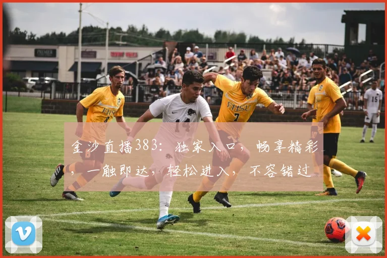 金沙直播383：独家入口，畅享精彩，一触即达，轻松进入，不容错过，体验非凡