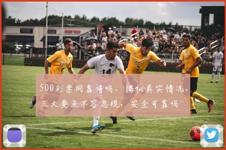 500彩票网靠谱吗，揭秘真实情况，三大要点不容忽视，安全可靠吗